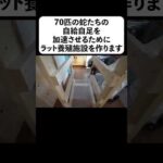 70匹の蛇たちの自給自足を加速させるためにラット養殖施設を作ります(YouTube)