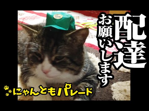 【猫動画】配達お願いします〜にゃんともパレード〜#猫動画#猫#352(YouTube)