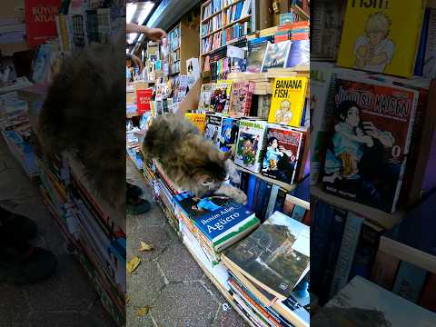 ここで普通に立ち読みしてる人がいるのが驚き(YouTube)