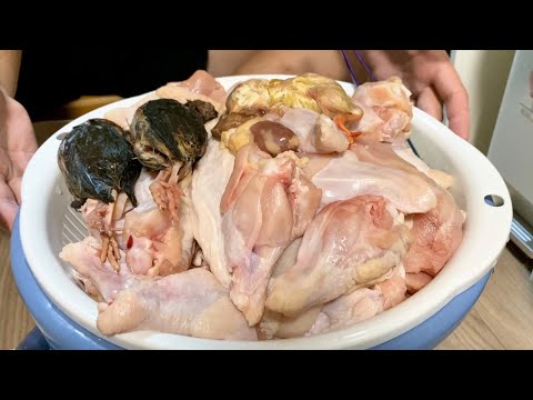 5kgの肉が一瞬で無くなる衝撃の捕食映像(YouTube)