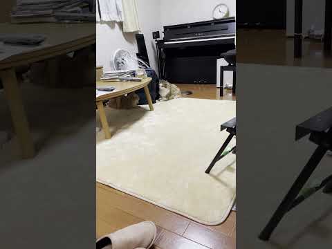 秀吉から手を出すことのほうが多いんです(YouTube)