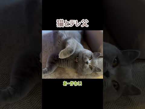 実家のデレじじ #shorts(YouTube)