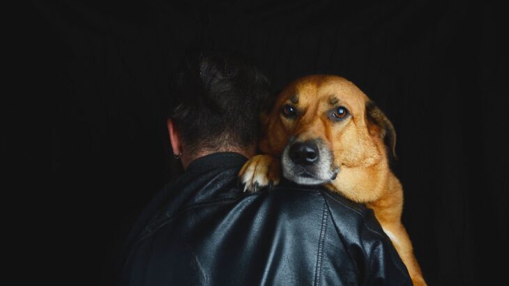 犬の里親詐欺『5つの手口』被害に遭わないために知っておくべき注意点とは？(ブログ)