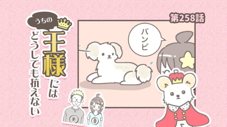 うちの王様にはどうしても抗えない【第258話】「しつこい飼い主の対処法」(ブログ)