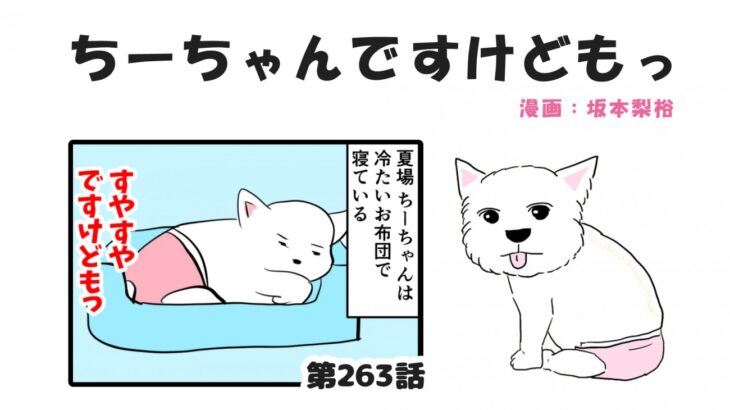 ちーちゃんですけどもっ【第263話】「暑くなってきましたけどもっ」(ブログ)