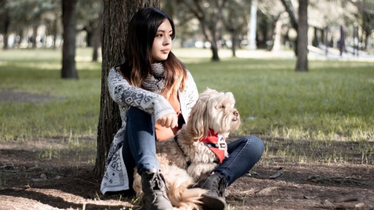 犬が人から『顔を背ける』４つの心理とは？犬との関係を向上させる為に重要なこと(ブログ)