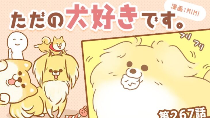 ただの犬好きです。【第267話】「ほれほれ」(ブログ)