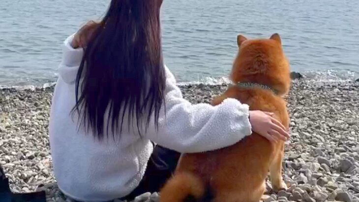 『保護犬との1年間』を振り返ったら…愛にあふれる家族としての思い出が95万再生「大切にされているのがわかる」「涙が止まらない」」と感動(ブログ)