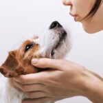 犬の口臭が悪化する『4つのNG行為』口腔トラブルを防ぐためにすべきことまで解説(ブログ)