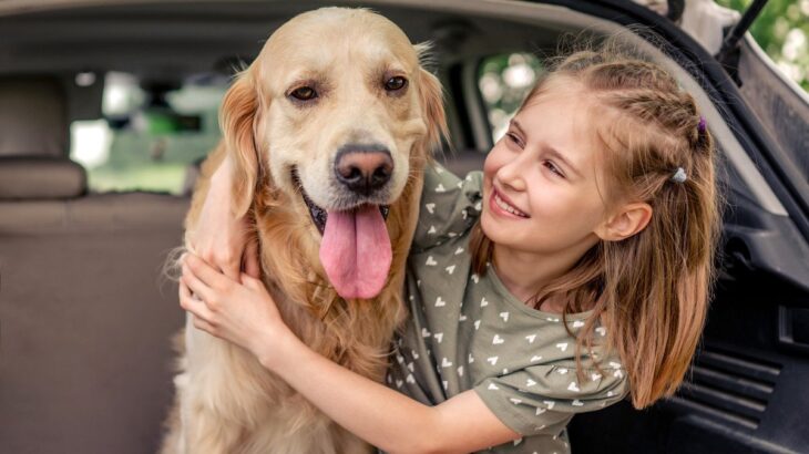 愛犬に喜んでもらうためのお出かけスポット3選！楽しむためのポイントとそれぞれの注意点(ブログ)