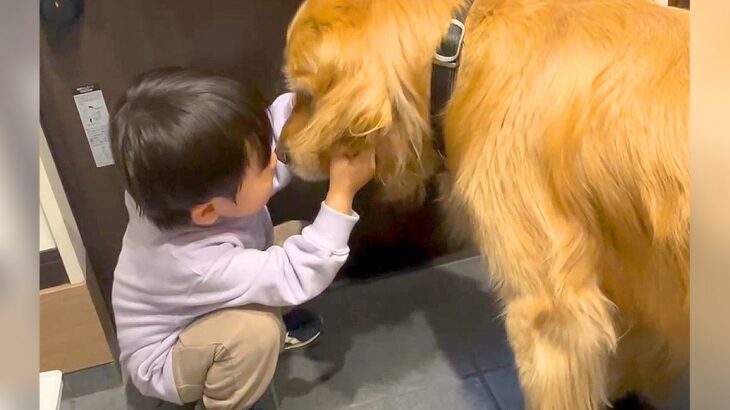 小さな男の子にドライな犬…なんだかんだ『お願いに応えてあげる姿』が話題に「ふたりとも可愛くて癒される」「面倒を見てあげてるみたい」(ブログ)