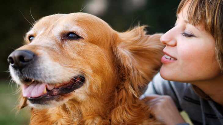 犬を幸せにすることができる『飼い主の言葉』5選　愛犬の自己肯定感をあげるワードとは？(ブログ)