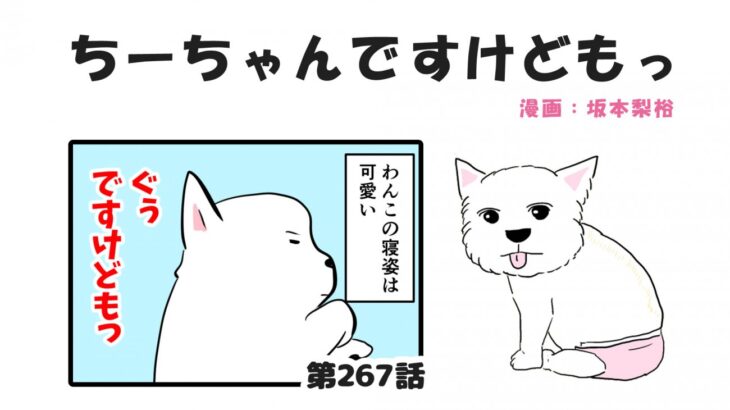 ちーちゃんですけどもっ【第267話】「人間味がある」(ブログ)