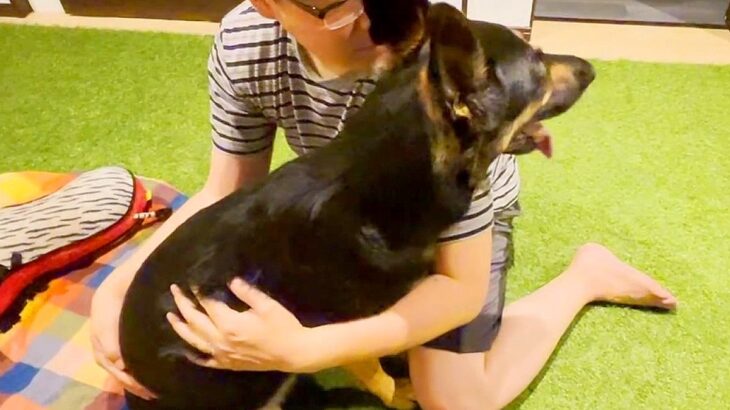 雷が鳴ると大型犬が…まさかの『飼い主に隠れてしまう様子』が可愛すぎると23万再生「気持ちわかる」「人間の子供みたいｗ」共感とエールの声(ブログ)
