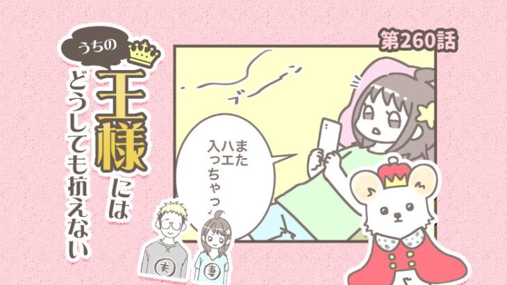 うちの王様にはどうしても抗えない【第260話】「最近のビビリ王②」(ブログ)