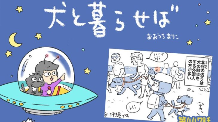 犬と暮らせば【第447話】「コトバはいらない」(ブログ)