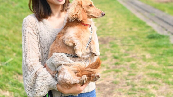 犬への『愛情と甘やかし』その違いとは？誤認したまましつけることの危険性まで(ブログ)