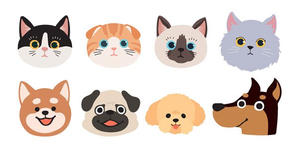 アイペット損保が「人気飼育犬種ランキング2023」を発表！(ブログ)