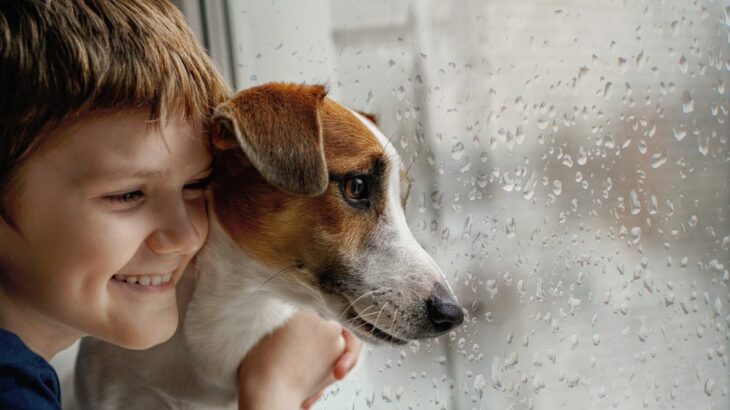 雨の日こそ愛犬が室内で楽しめる遊びを考えよう！家にあるもので簡単にできる宝探しゲームがおすすめ(ブログ)