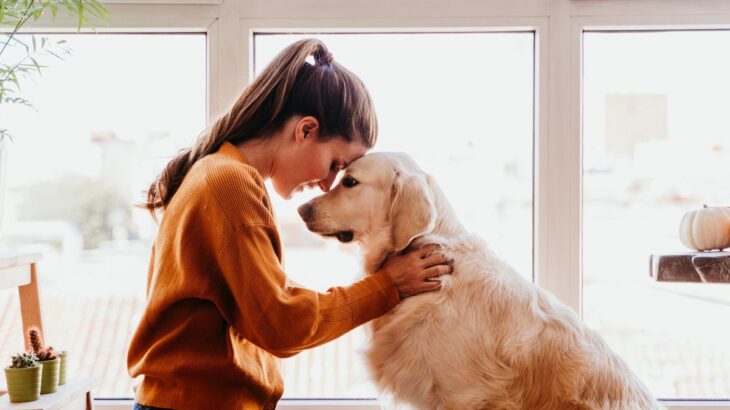 犬に『想いを伝える』方法４つ　飼い主がすべき正しいコミュニケーション方法とは？(ブログ)