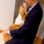 父が『3泊4日の出張』をした結果…犬との久しぶりの再会が『愛に溢れてる』と84万再生「長かったよね」「本当に愛されてる」と大絶賛(ブログ)