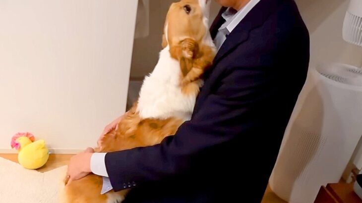 父が『3泊4日の出張』をした結果…犬との久しぶりの再会が『愛に溢れてる』と84万再生「長かったよね」「本当に愛されてる」と大絶賛(ブログ)