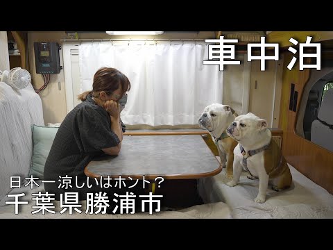 暑さに激弱な愛犬と「日本一涼しいで有名な勝浦市」で車中泊！愛犬は無事快適に過ごすことが出来るのか？(YouTube)