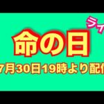 噛み犬や特定犬種や野犬にも生きる権利がありますよ！(YouTube)