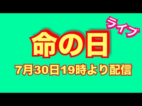 噛み犬や特定犬種や野犬にも生きる権利がありますよ！(YouTube)