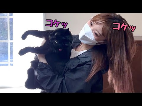 「もう帰っちゃうぽ？」っと首をかしげる猫さん(YouTube)