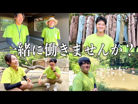高卒〜大学院まで学歴関係なし！僕たちが飼育員になる為にしたこと。【就活】(YouTube)