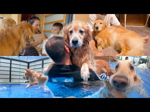 いつもお兄ちゃん頑張ってる愛犬達をもてなしてみた(YouTube)