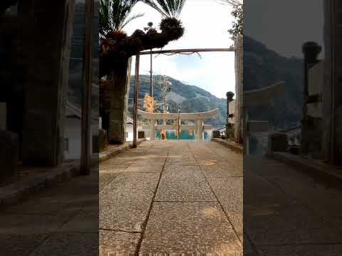 神社に行くと付いてくる猫がいてカワイイ(YouTube)