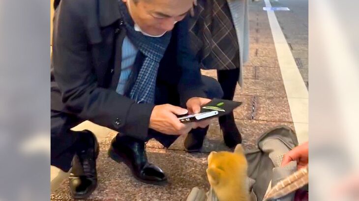 両親に内緒で『子犬をお迎えした』結果…まさかのサプライズで『父がパニックになる様子』が微笑ましいと708万再生「完全に孫を見る目ｗ」(ブログ)