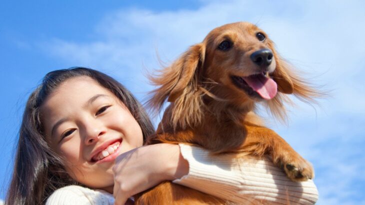 犬の『抱っこの必要性やメリット』とは？　正しい抱っこの仕方や抱き癖の注意すべきポイントまでを徹底解説(ブログ)