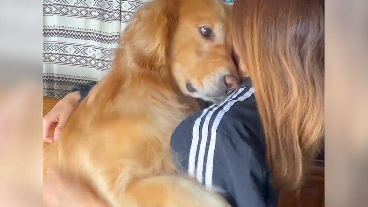 大型犬とハグした結果…絶対に譲れない『まさかのこだわり』が可愛すぎると166万再生「諦めるの最高にかわいい」「争奪戦ｗ」海外からも絶賛(ブログ)