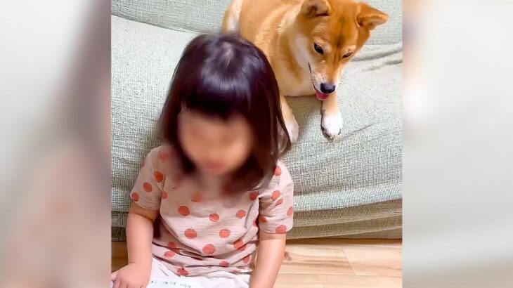 寝る前、小さな女の子が犬に『絵本の読み聞かせ』をした結果…思わぬ展開にビビり散らかす光景が話題「不意打ちｗ」「微笑ましい」と絶賛の声(ブログ)