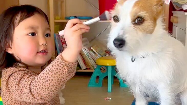 女の子が『犬とおままごと』した結果…お姉ちゃんっぷりが凄い『付き合ってあげる姿』が優しすぎると35万再生「かわいい姉妹」「愛おしい」(ブログ)