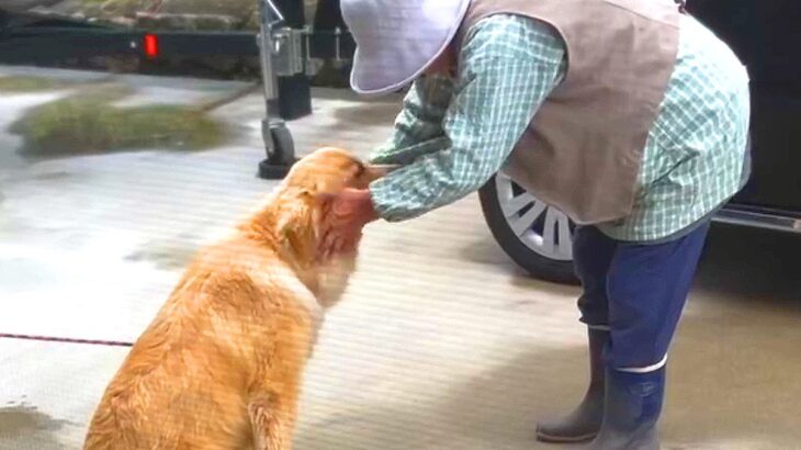 90歳のおばあちゃんと大型犬だけの秘密…家族さえも知らなかった『まさかの光景』が尊すぎると36万再生「両者、手慣れてて草」「平和で最高」(ブログ)