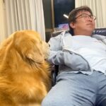 父が大型犬を『しつけの為に叱った』結果…想定外な『まさかの結末』が面白すぎると204万再生「ダメダメで草」「ごめんねってしてるｗ」(ブログ)