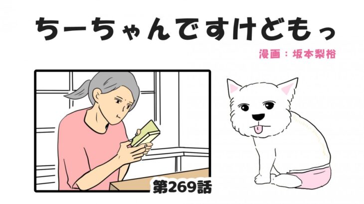 ちーちゃんですけどもっ【第269話】「見守りカメラ①」(ブログ)