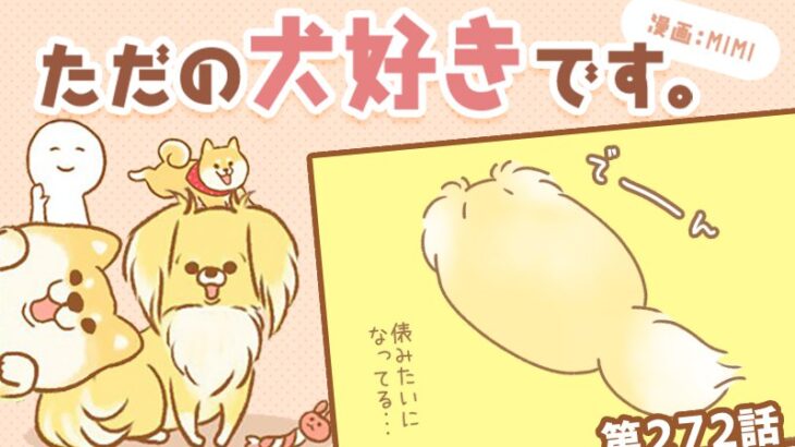 ただの犬好きです。【第272話】「今なんて？」(ブログ)