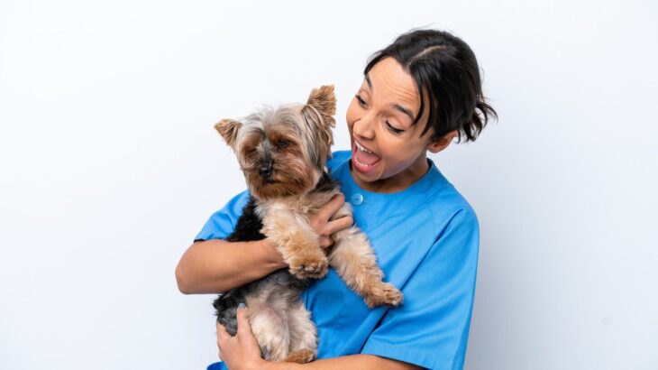 犬に向かって大声を出すのは絶対にNG　その3つの理由と与える悪影響や適切な声掛け方法を解説(ブログ)