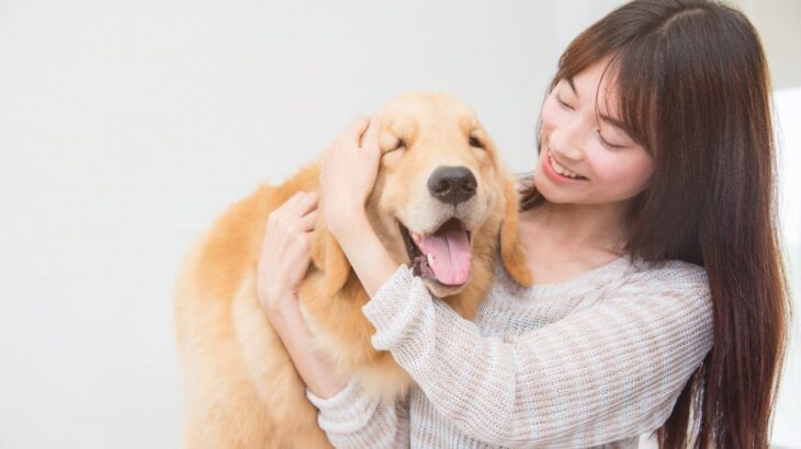 犬を今よりもっと『幸せにする方法』5選　愛犬をハッピーな気持ちにさせる為に飼い主ができることとは？(ブログ)