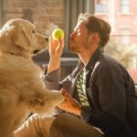 犬のしつけに使うコマンドは英語がいいの？キュー（合図）だともっと素敵かもしれない(ブログ)