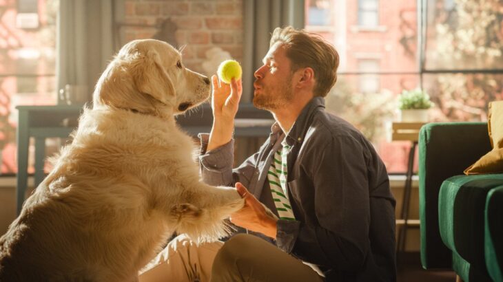 犬のしつけに使うコマンドは英語がいいの？キュー（合図）だともっと素敵かもしれない(ブログ)