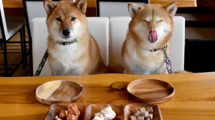 犬が好む『食材ランキング』トップ5　愛犬にメリットがある食べ物やおすすめの与え方まで(ブログ)