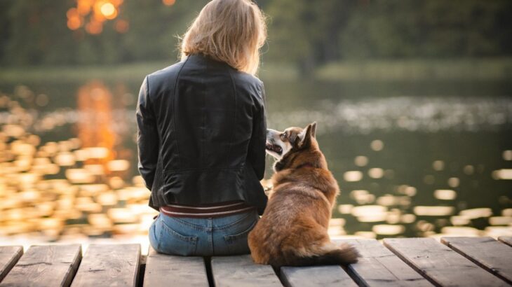 愛犬の命を危険に晒してしまう『飼い主が絶対にやってはいけない行動』５つ　他人事ではないNG行為を知っておこう(ブログ)