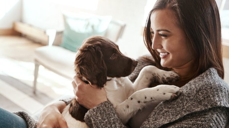 犬を飼うなら必ず果たさなければならない7つの責任と義務　飼い主になる為に知っておくべきことを解説(ブログ)