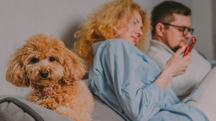犬が苦しむ『飼い主のNG行為』5選　愛犬に精神的苦痛を与える飼い主の行動とは？(ブログ)